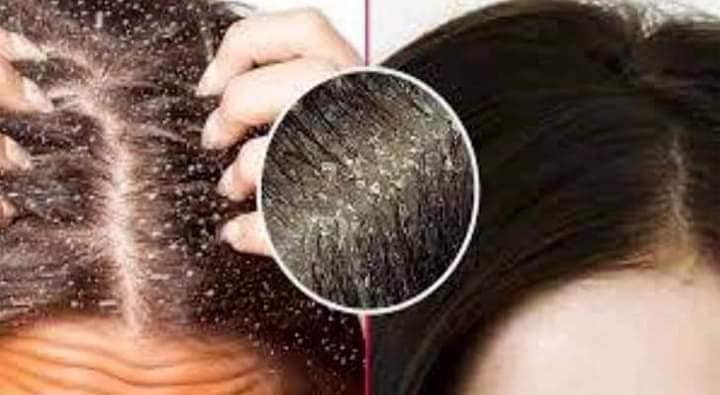 470515200_122131459352487641_6104984618523622279_n