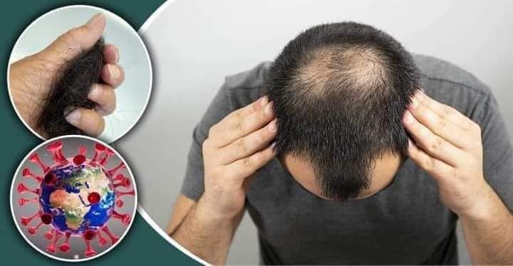 471587819_122131459454487641_5340471201053393242_n