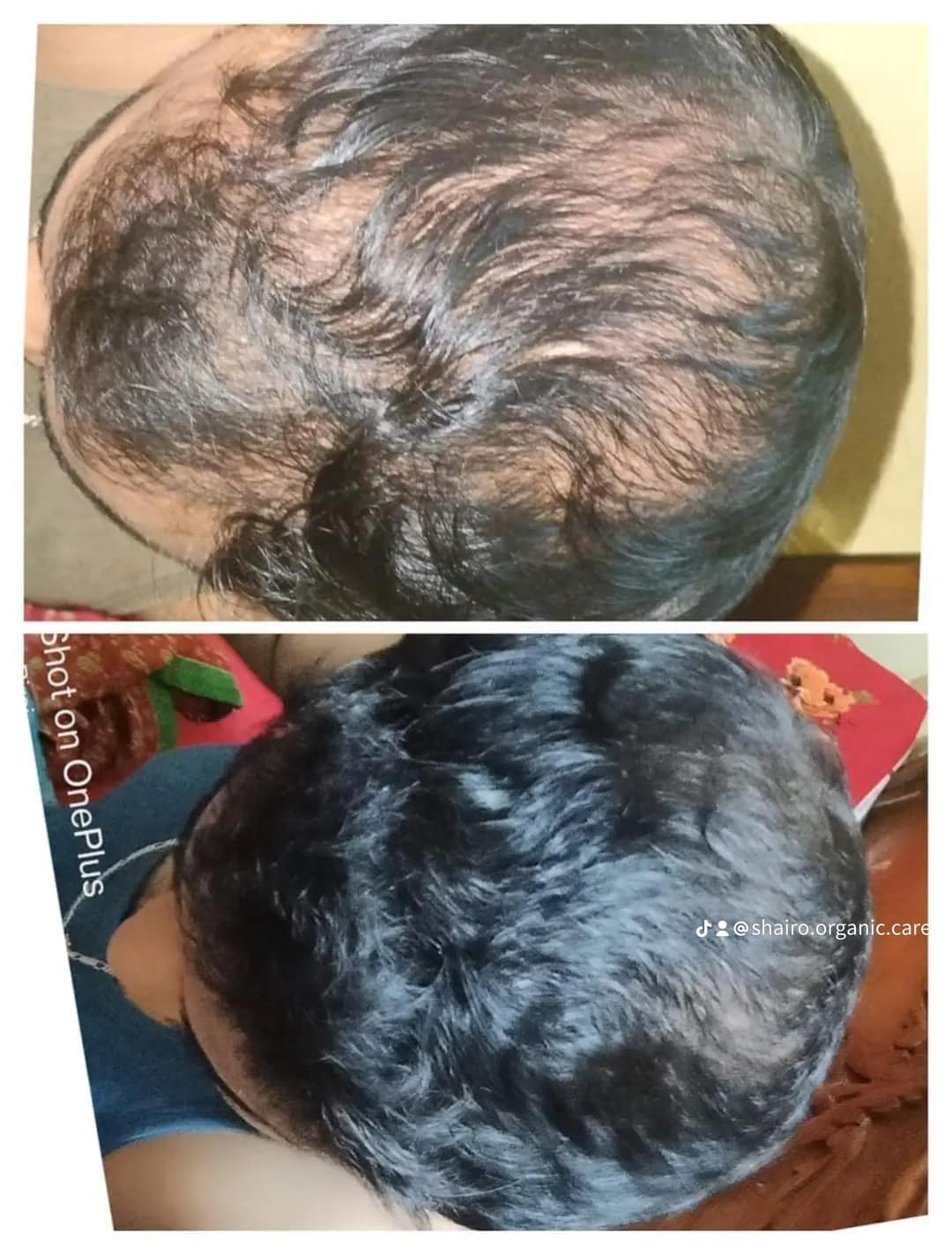 476298188_122136785210487641_7634258920461804420_n